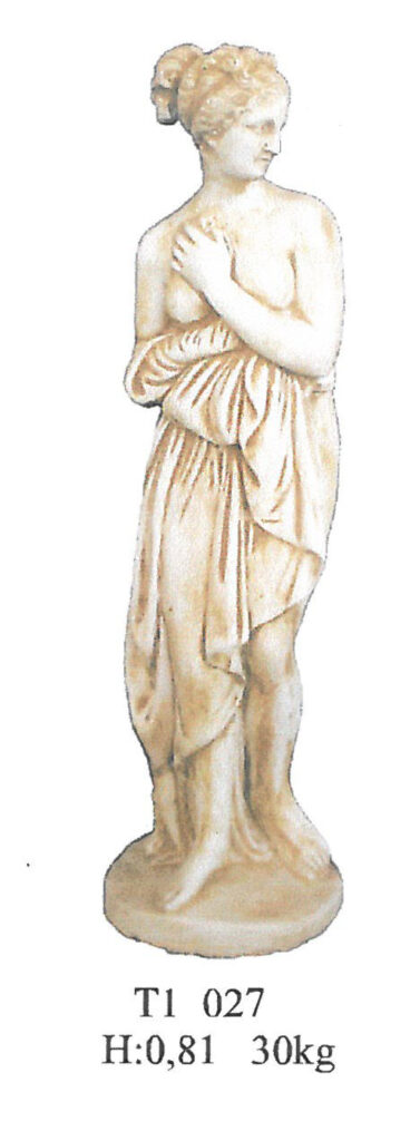 T1 027