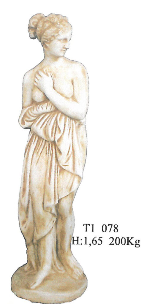 T1 078
