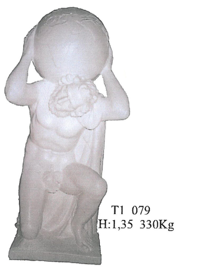 T1 079