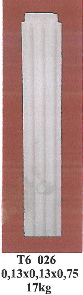 T6 021